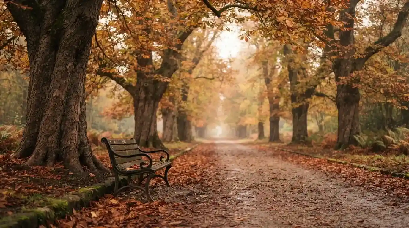 Eine Parkallee mit Kastanienbäumen und einer leeren Bank, Herbstlaub bedeckt den Kiesweg.