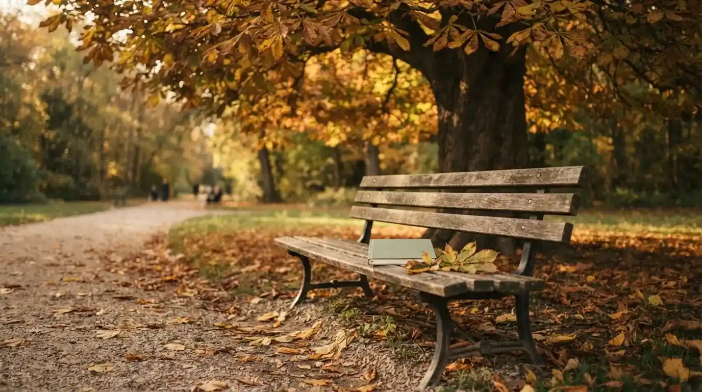 Eine Parkbank unter einer Kastanie im Herbst, auf dem Kiesweg liegen gelbe Blätter.