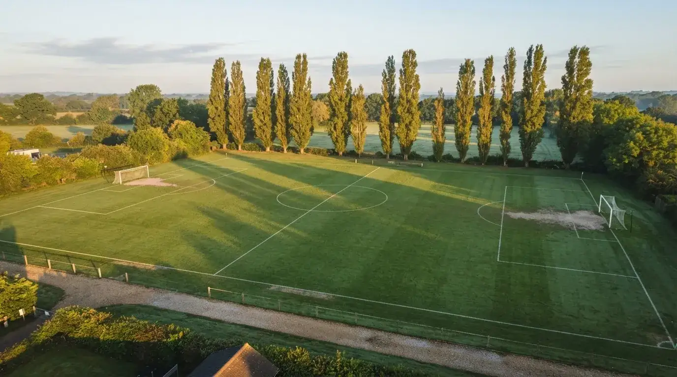 Ein leerer Fussballplatz mit weissen Linien von oben gesehen im Morgenlicht, am Rand stehen zwei Tore und eine Reihe Pappeln.