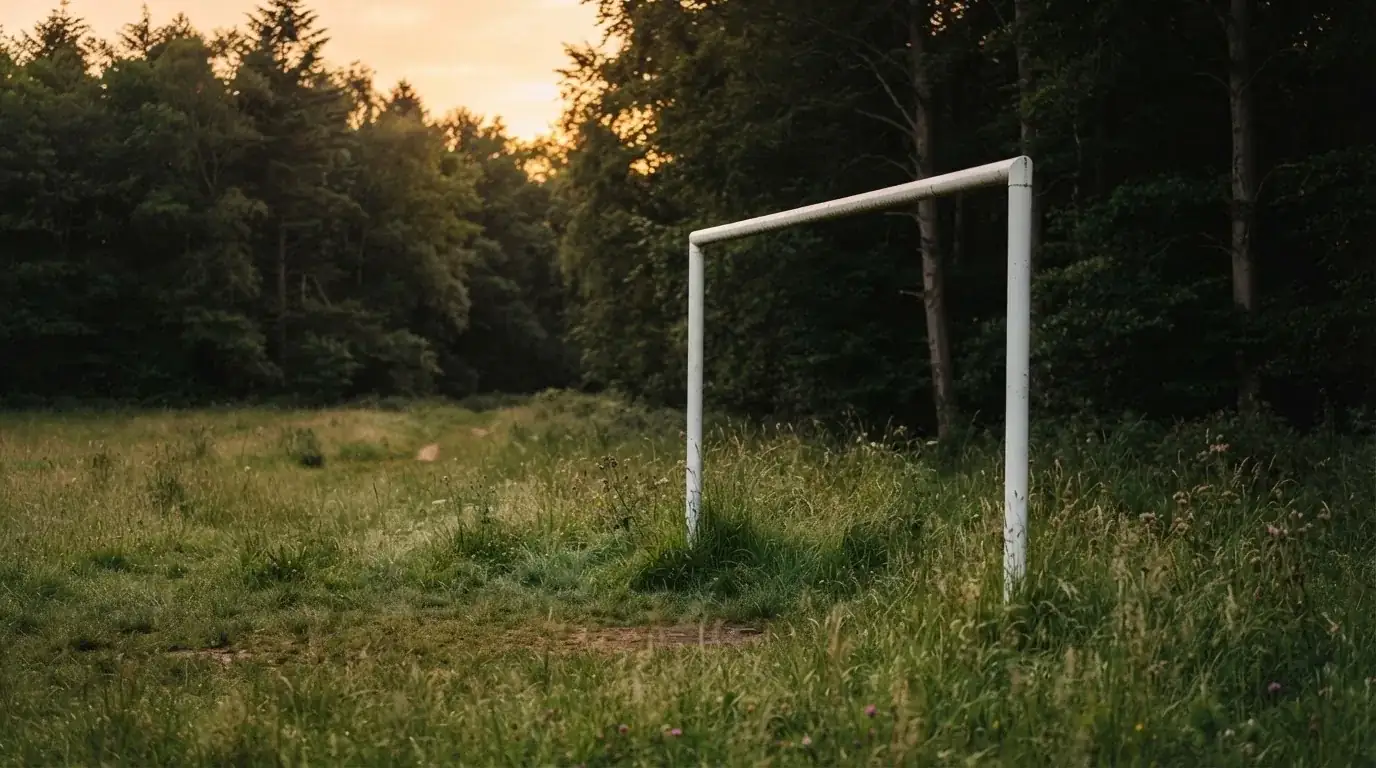 Ein Fussballtor ohne Netz steht auf einer Wiese am Waldrand, die Abenddämmerung färbt den Himmel orange.